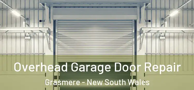 Overhead Garage Door Repair Grasmere - New South Wales
