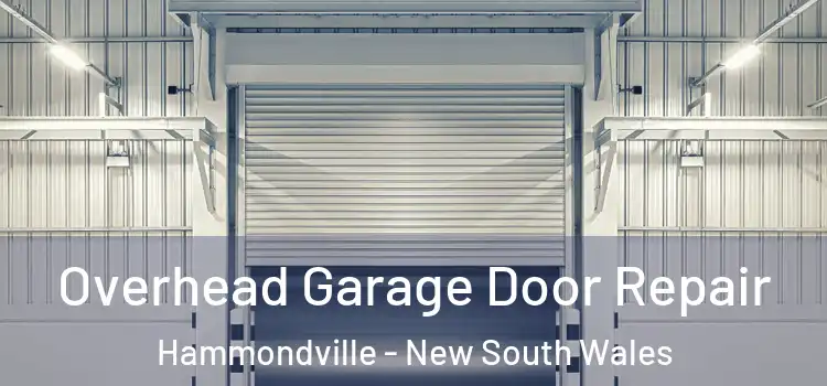 Overhead Garage Door Repair Hammondville - New South Wales