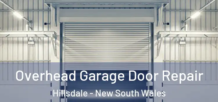 Overhead Garage Door Repair Hillsdale - New South Wales