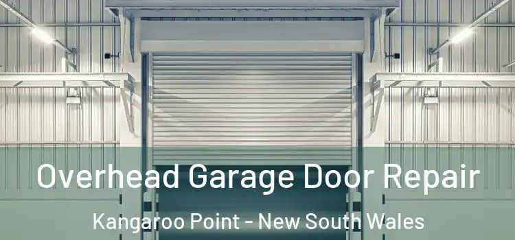 Overhead Garage Door Repair Kangaroo Point - New South Wales