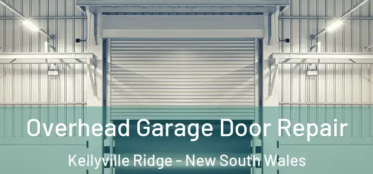 Overhead Garage Door Repair Kellyville Ridge - New South Wales