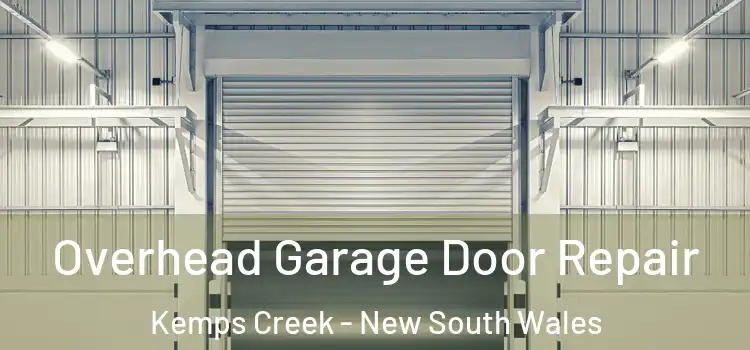 Overhead Garage Door Repair Kemps Creek - New South Wales