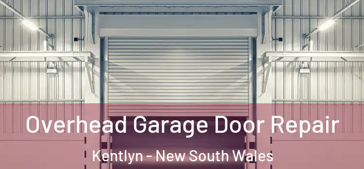 Overhead Garage Door Repair Kentlyn - New South Wales