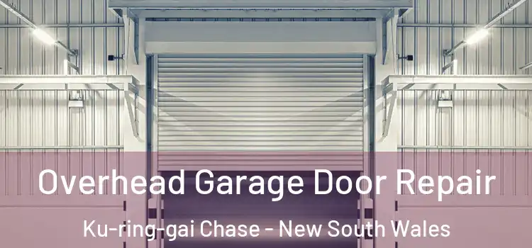 Overhead Garage Door Repair Ku-ring-gai Chase - New South Wales