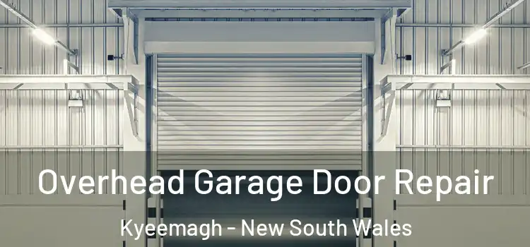 Overhead Garage Door Repair Kyeemagh - New South Wales
