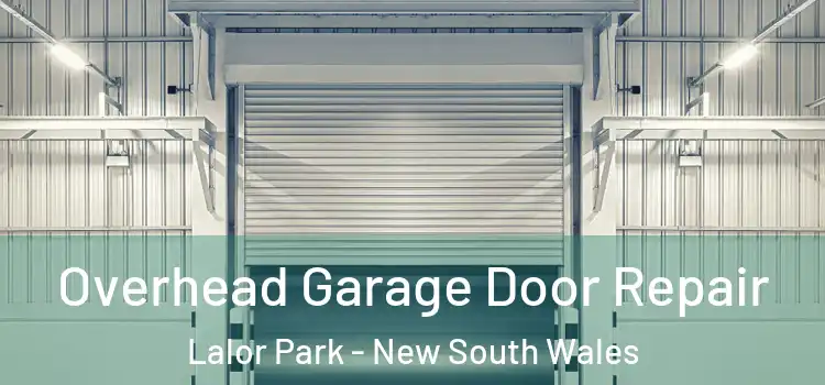 Overhead Garage Door Repair Lalor Park - New South Wales