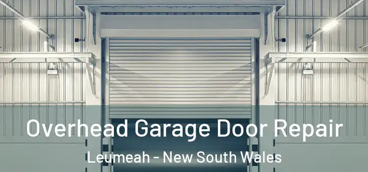 Overhead Garage Door Repair Leumeah - New South Wales