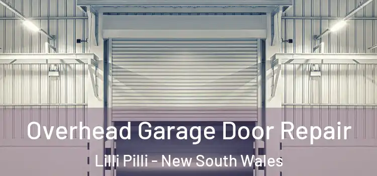 Overhead Garage Door Repair Lilli Pilli - New South Wales