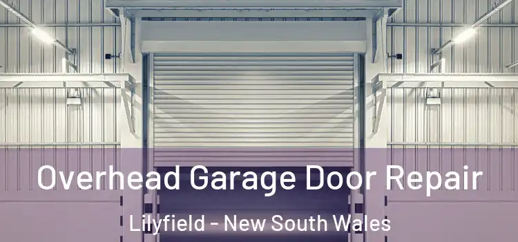 Overhead Garage Door Repair Lilyfield - New South Wales