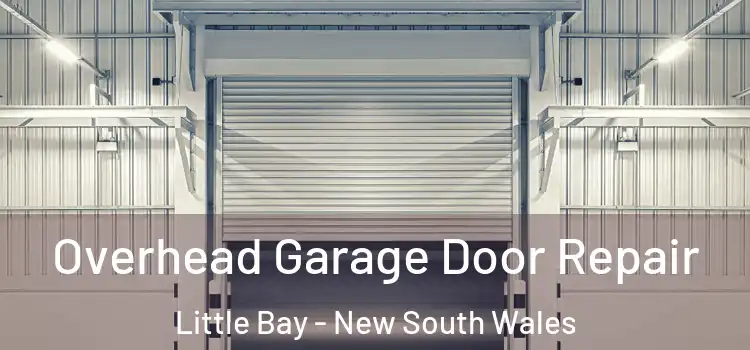 Overhead Garage Door Repair Little Bay - New South Wales