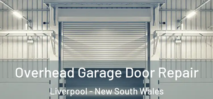 Overhead Garage Door Repair Liverpool - New South Wales