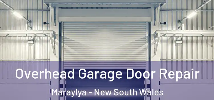 Overhead Garage Door Repair Maraylya - New South Wales