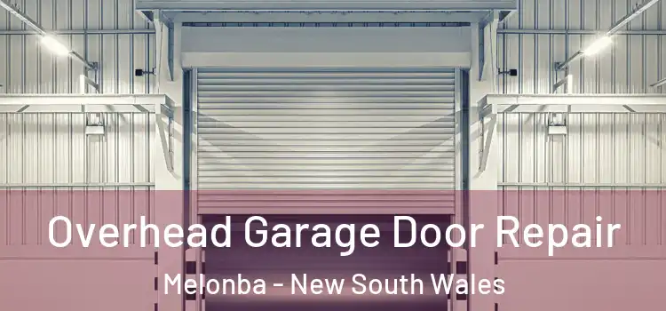 Overhead Garage Door Repair Melonba - New South Wales