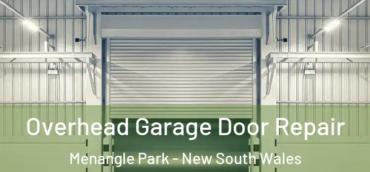 Overhead Garage Door Repair Menangle Park - New South Wales