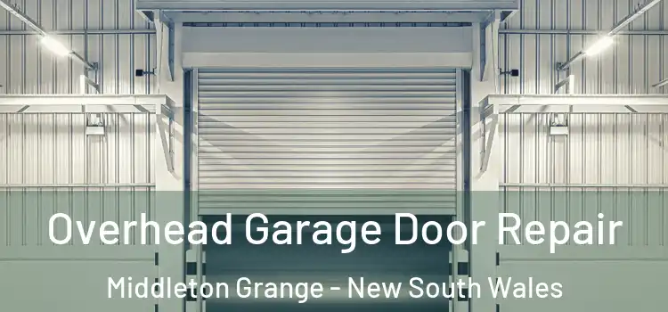 Overhead Garage Door Repair Middleton Grange - New South Wales