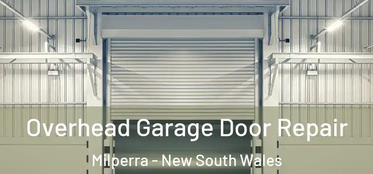 Overhead Garage Door Repair Milperra - New South Wales