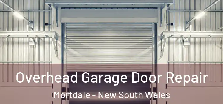 Overhead Garage Door Repair Mortdale - New South Wales