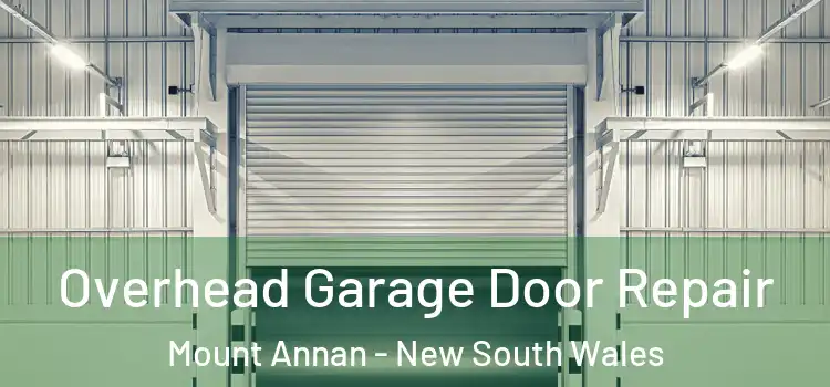 Overhead Garage Door Repair Mount Annan - New South Wales