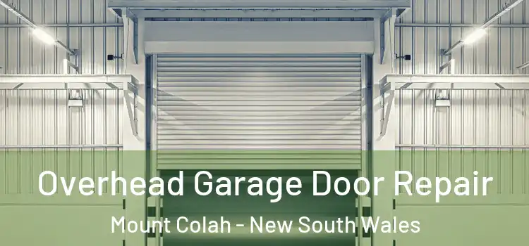 Overhead Garage Door Repair Mount Colah - New South Wales
