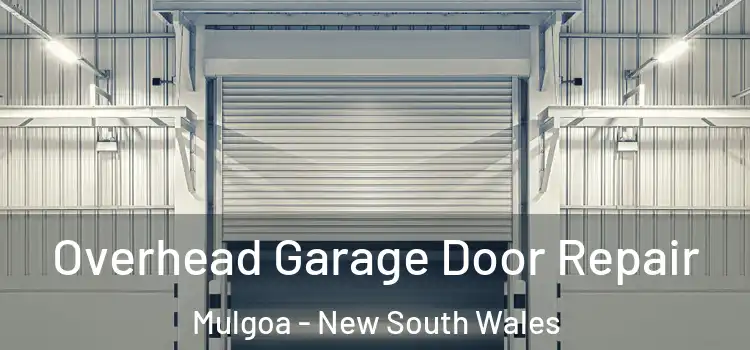 Overhead Garage Door Repair Mulgoa - New South Wales