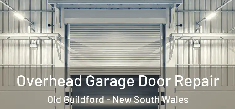 Overhead Garage Door Repair Old Guildford - New South Wales