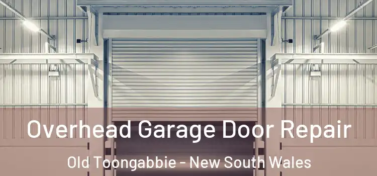 Overhead Garage Door Repair Old Toongabbie - New South Wales