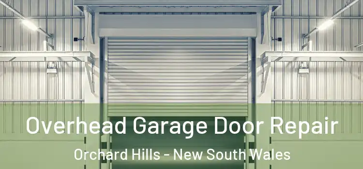 Overhead Garage Door Repair Orchard Hills - New South Wales