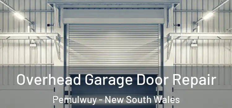 Overhead Garage Door Repair Pemulwuy - New South Wales