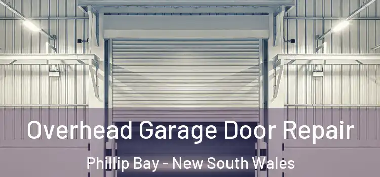 Overhead Garage Door Repair Phillip Bay - New South Wales