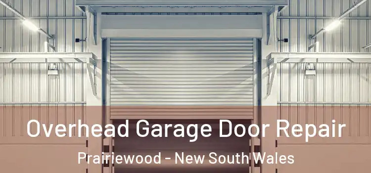 Overhead Garage Door Repair Prairiewood - New South Wales