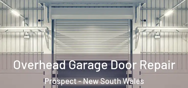 Overhead Garage Door Repair Prospect - New South Wales