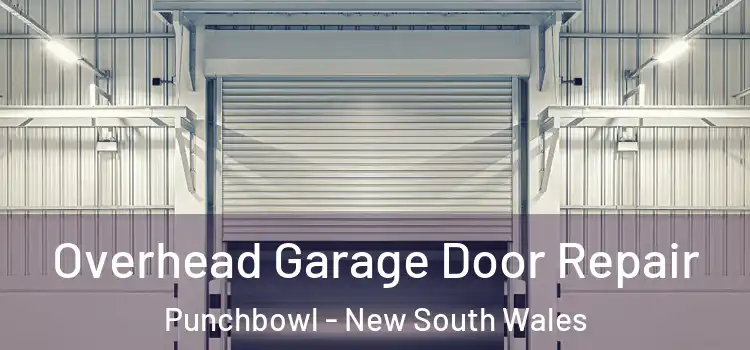 Overhead Garage Door Repair Punchbowl - New South Wales