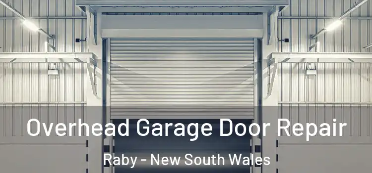 Overhead Garage Door Repair Raby - New South Wales