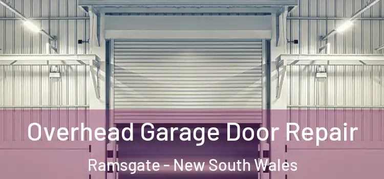 Overhead Garage Door Repair Ramsgate - New South Wales