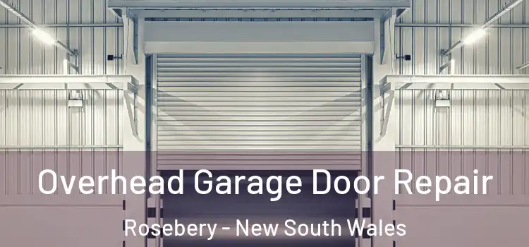 Overhead Garage Door Repair Rosebery - New South Wales