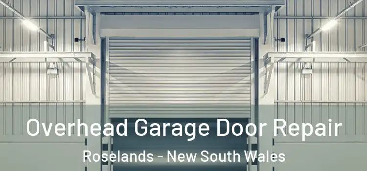 Overhead Garage Door Repair Roselands - New South Wales