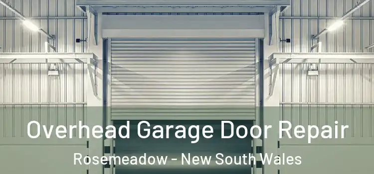 Overhead Garage Door Repair Rosemeadow - New South Wales
