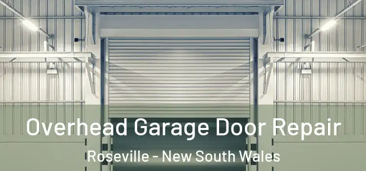 Overhead Garage Door Repair Roseville - New South Wales