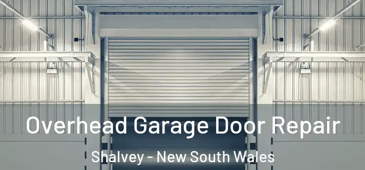 Overhead Garage Door Repair Shalvey - New South Wales