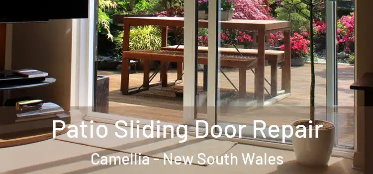 Patio Sliding Door Repair Camellia - New South Wales