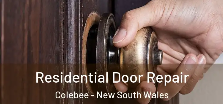 Residential Door Repair Colebee - New South Wales