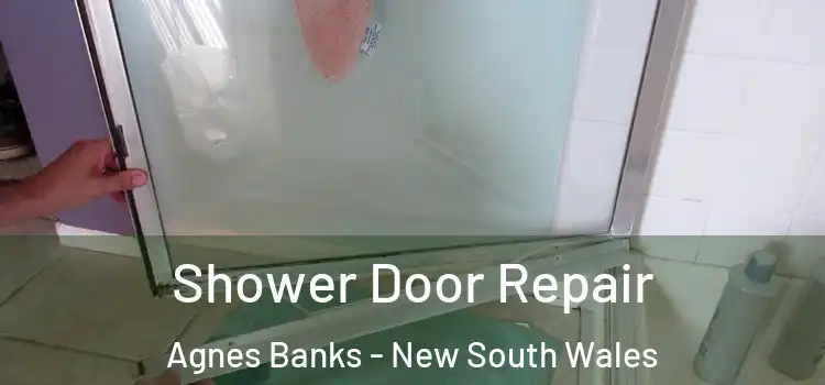 Shower Door Repair Agnes Banks - New South Wales