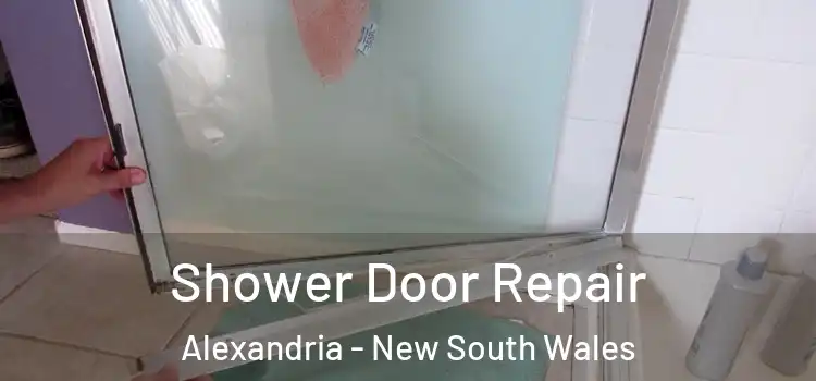 Shower Door Repair Alexandria - New South Wales