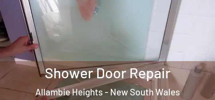 Shower Door Repair Allambie Heights - New South Wales