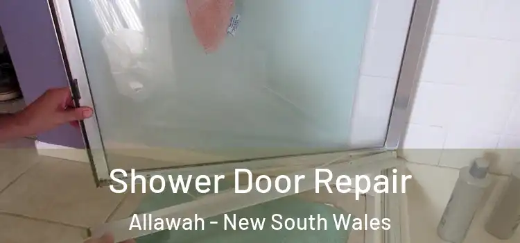 Shower Door Repair Allawah - New South Wales