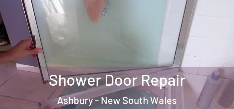 Shower Door Repair Ashbury - New South Wales