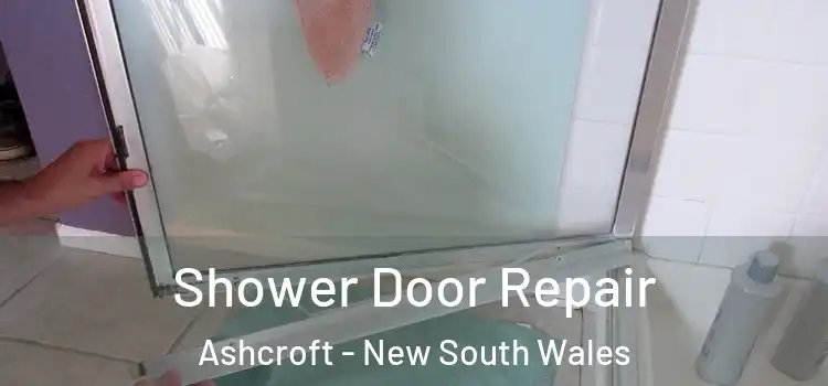 Shower Door Repair Ashcroft - New South Wales