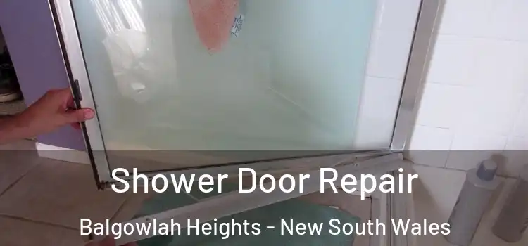 Shower Door Repair Balgowlah Heights - New South Wales