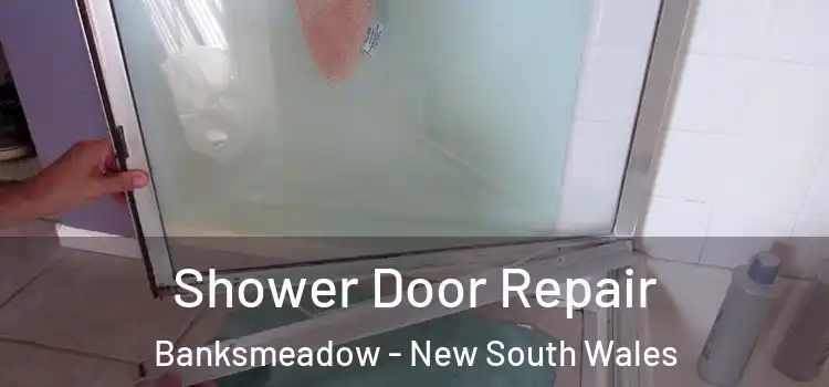Shower Door Repair Banksmeadow - New South Wales