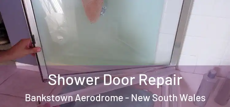 Shower Door Repair Bankstown Aerodrome - New South Wales